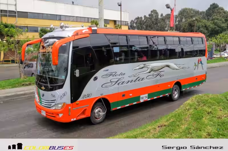 Bogotá to San Francisco: Un Viaje de Fe y Descubrimiento a Través de las Religiones