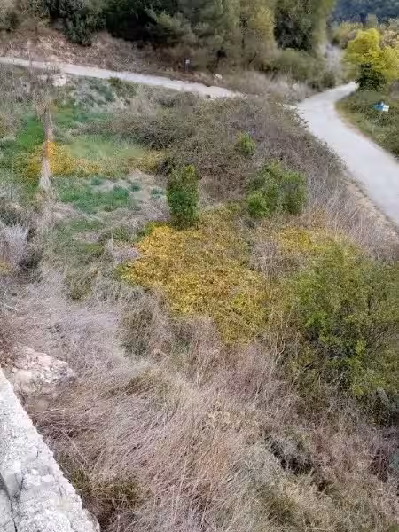 El Huerto de Santa María: Un Legado de Fe, Sostenibilidad y Conexión Espiritual